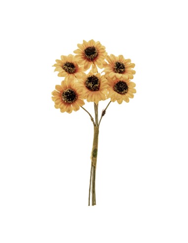 Giro Sole Girasole | G3S