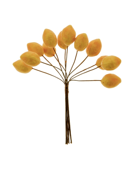 Natura Limone 2,5cm | G3S