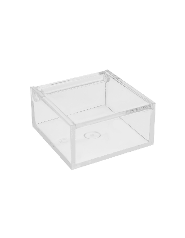 Scatola trasparente in plexiglass 6x6x3cm | G3S