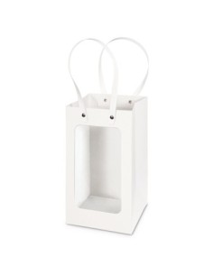 Busta trasparente in PVC 14x14cm x h24cm