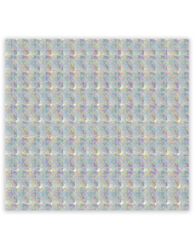 Foil Backdrop Argento Olografico 100 cm X 200 cm 1pz | G3S Party