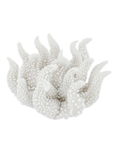 Applicazione corallo avorio gocce di rugiada porcellana Ø4cm | G3S