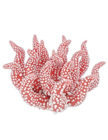 Applicazione corallo rosso gocce di rugiada porcellana Ø4cm | G3S