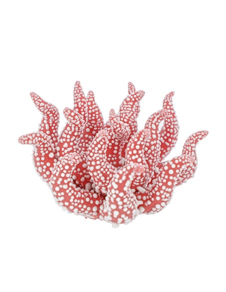 Applicazione corallo rosso gocce di rugiada porcellana Ø4cm | G3S