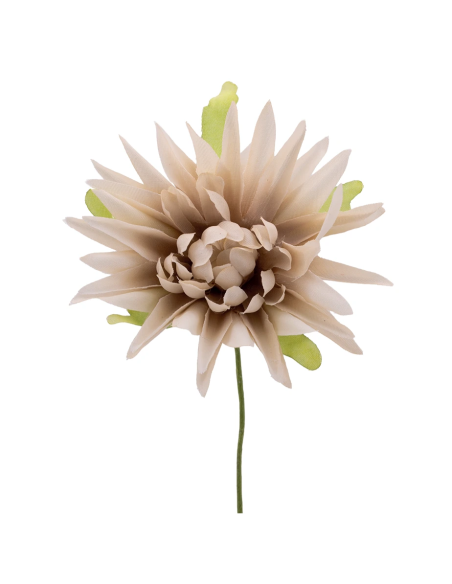 Dalia artificiale – beige – 7 x 10 cm