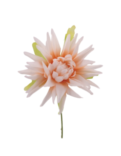 Dalia artificiale – cipria – 7 x 10 cm