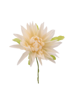 Dalia artificiale – panna – 7 x 10 cm