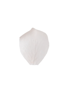 Petali artificiali – bianco – 5 x 5 cm – confezione da 200 petali