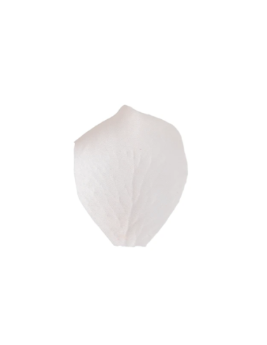 Petali artificiali – bianco – 5 x 5 cm – confezione da 200 petali