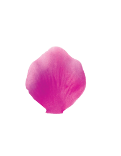 Petali artificiali – fuxia – 5 x 5 cm – confezione da 200 petali
