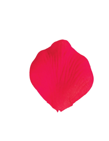 Petali artificiali – rosso – 5 x 5 cm – confezione da 200 petali