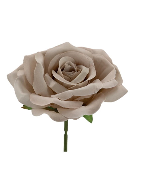 Rosa rampicante artificiale – beige – 10 x 5 cm