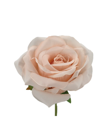 Rosa rampicante artificiale – cipria – 10 x 5 cm