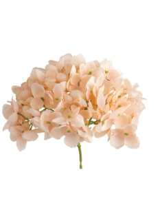 Tralcio di ortensia artificiale – cipria – 20 x 10 cm