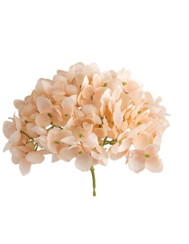 Tralcio di ortensia artificiale – cipria – 20 x 10 cm