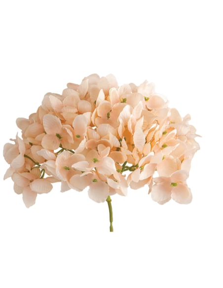 Tralcio di ortensia artificiale – cipria – 20 x 10 cm