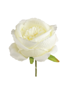 Rosa grande artificiale – crema – 10 x 8 cm