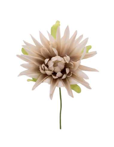 Dalia artificiale – beige – 7 x 10 cm