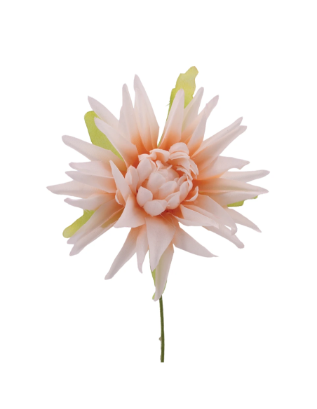 Dalia artificiale – cipria – 7 x 10 cm