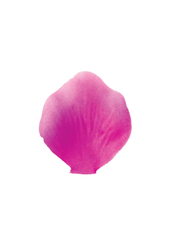 Petali artificiali – fuxia – 5 x 5 cm – confezione da 200 petali
