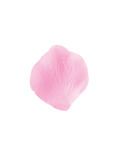 Petali artificiali – rosa – 5 x 5 cm – confezione da 200 petali 2