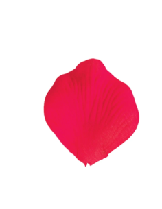 Petali artificiali – rosso – 5 x 5 cm – confezione da 200 petali 2