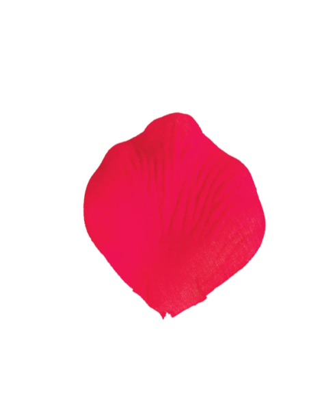 Petali artificiali – rosso – 5 x 5 cm – confezione da 200 petali