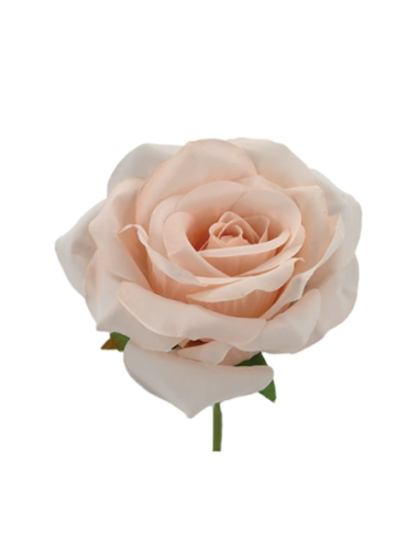 Rosa rampicante artificiale – cipria – 10 x 5 cm