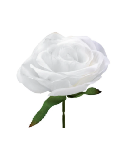 Rosa artificiale – bianco – 10 x 6 cm 2