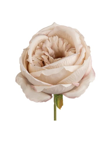 Rosa grande artificiale – rosa antico – 10 x 8 cm