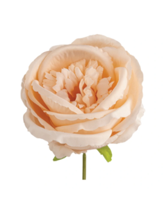 Rosa grande artificiale – cipria – 10 x 8 cm