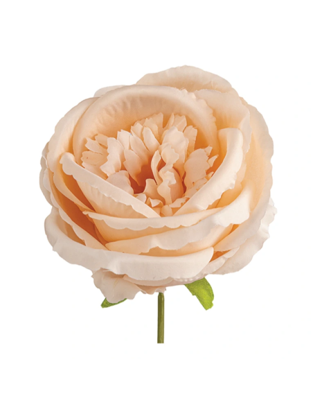 Rosa grande artificiale – cipria – 10 x 8 cm