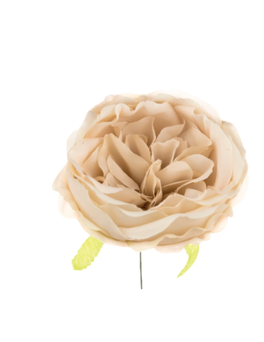 Ranuncolo artificiale – beige – 9 x 5 cm