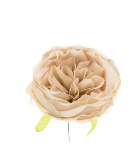 Ranuncolo artificiale – beige – 9 x 5 cm