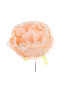 Ranuncolo artificiale – cipria – 9 x 5 cm