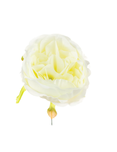 Ranuncolo artificiale – panna – 9 x 5 cm