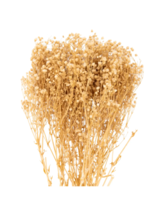 Mazzetto di gypsophila – naturale – 100 g