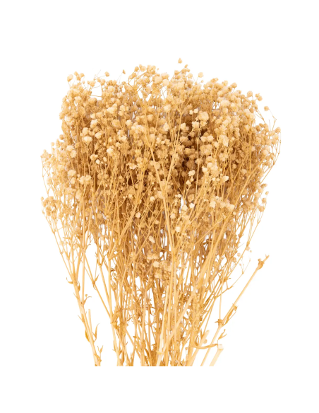 Mazzetto di gypsophila – naturale – 100 g