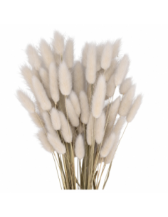 Mazzetto coda di topo – bianco