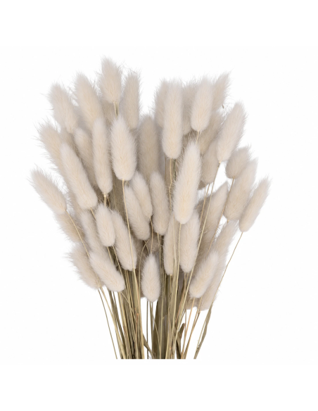 Mazzetto coda di topo – bianco