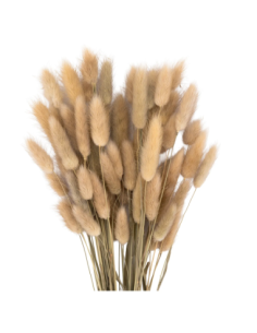 Mazzetto coda di topo – naturale