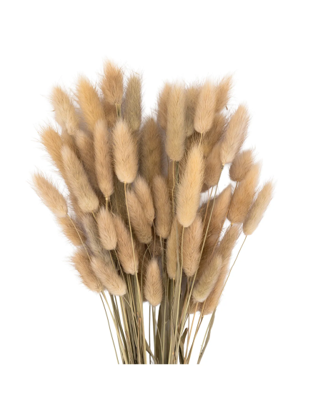 Mazzetto coda di topo – naturale
