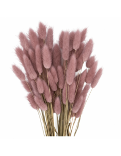 Mazzetto coda di topo – rosa antico