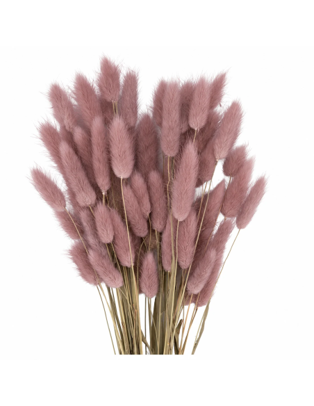 Mazzetto coda di topo – rosa antico