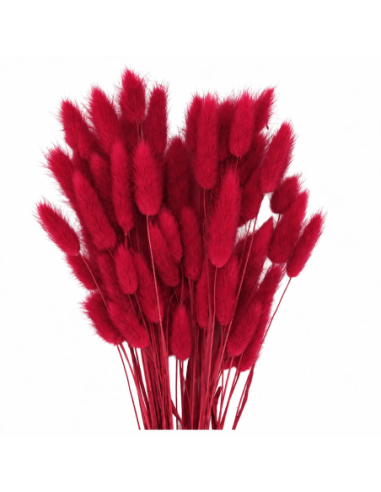 Mazzetto coda di topo – rosso