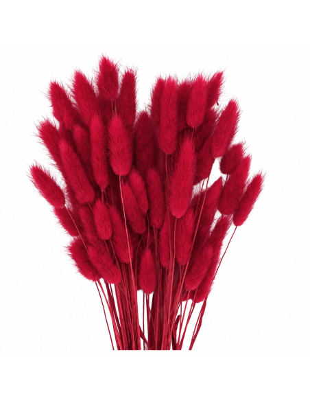 Mazzetto coda di topo – rosso