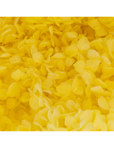 Mazzetto di ortensia stabilizzata – giallo - dettaglio colore originale
