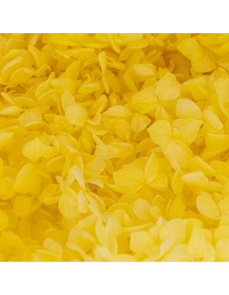 Mazzetto di ortensia stabilizzata – giallo - dettaglio colore originale