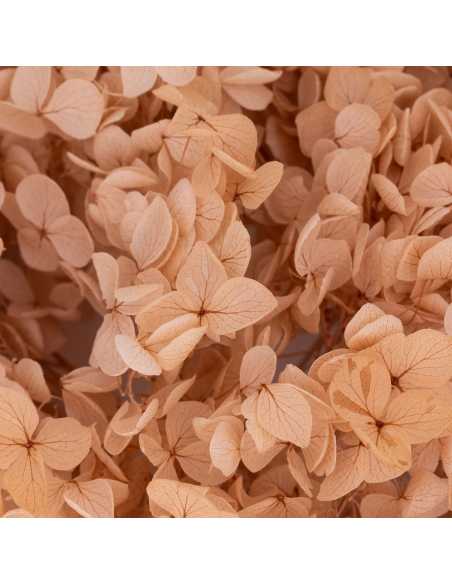 Mazzetto di ortensia stabilizzata – naturale - dettaglio colore originale