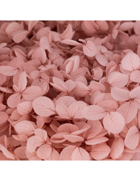 Mazzetto di ortensia stabilizzata – rosa antico - dettaglio colore originale